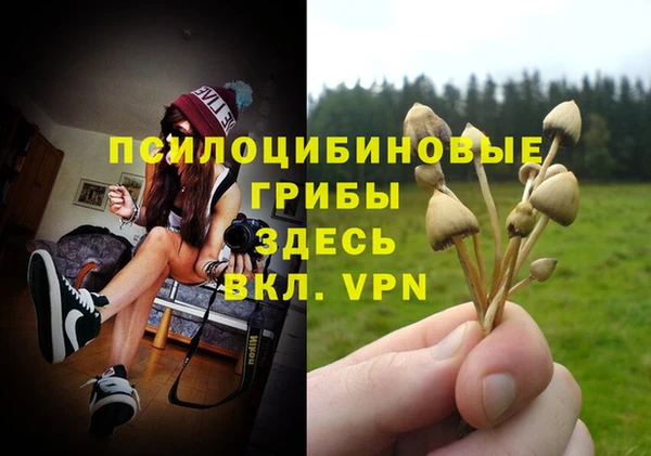 героин Новозыбков