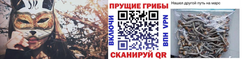блэк спрут вход  Миллерово  Псилоцибиновые грибы ЛСД 