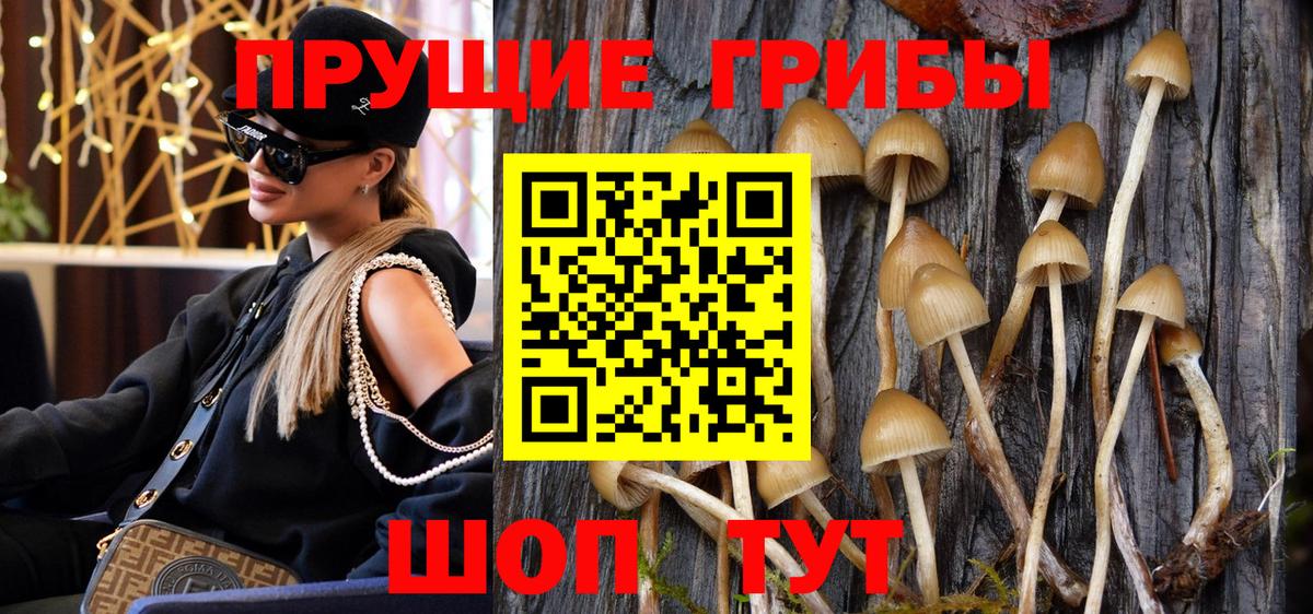 Галлюциногенные грибы MAGIC MUSHROOMS Миллерово