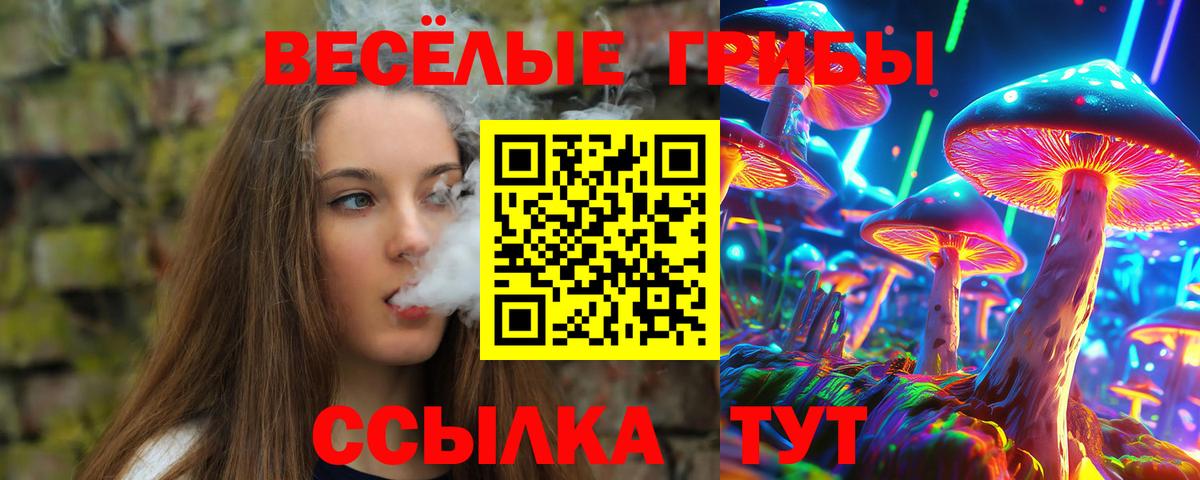 Псилоцибиновые грибы GOLDEN TEACHER  Псилоцибиновые грибы GOLDEN TEACHER  Миллерово  Вход с VPN 